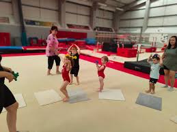 Image result for Waveney Gymnastics Club