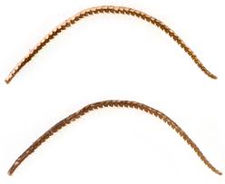 Attēlu rezultāti vaicājumam “Eulia ministrana”