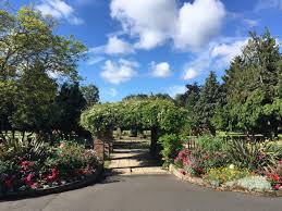 Image result for Bury Lodge Bowls Club