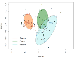 Attēlu rezultāti vaicājumam “Harminius undulatus”