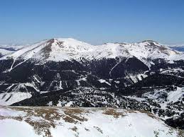 Image result for Eisenhut