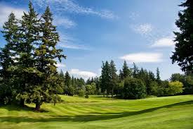 Image result for Bellingham Golf Club