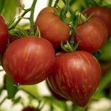 Afbeeldingsresultaat voor oranje van goeienbier tomato