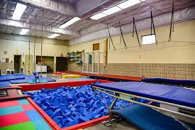 Image result for Dynamo Trampoline Academy