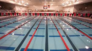 Image result for York University Pool Club