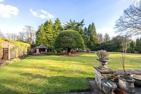 Image result for Walton-On-Thames Cricket Club