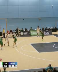 Image result for Surrey Spitfires Basketball Club