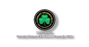 Image result for Shamrocks Hurling & Football Club