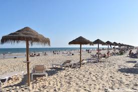 Attēlu rezultāti vaicājumam “Lota lota”