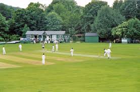 Image result for Bradfield Cricket Club
