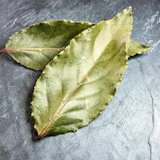 Image result for feuille-laurier-silex