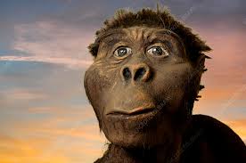 Image result for lucy