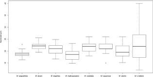 Attēlu rezultāti vaicājumam “Weissia squarrosa”