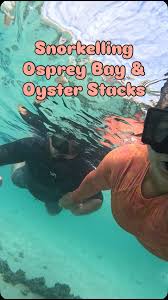 Image result for East Snorkellers
