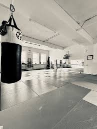 Image result for Bujinkan Dojo Seijitsu