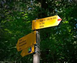 Image result for vallorbe tehron