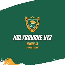 Image result for Liphook & Ripsley Cc