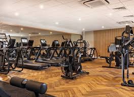 Image result for Swallows Of Helston Gym Club