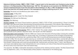 Attēlu rezultāti vaicājumam “Didymium bahiense stalked”