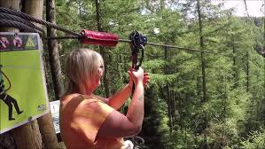 Image result for Go Ape! Dalby
