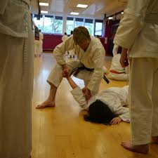 Image result for University of Bristol Shorinji Kempo Club
