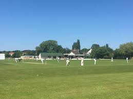 Image result for Letchworth Cricket Club