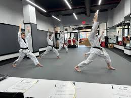 Image result for Vision Martial Arts
