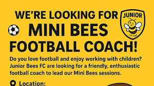 Image result for Brendon Bees Junior Football Club