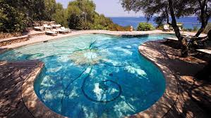 Image result for capo d'orso