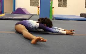 Image result for North East London Gymnastics Club