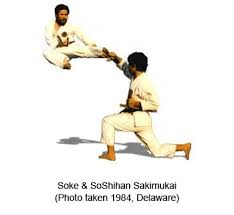 Image result for Reading Karate-Do Shotokai