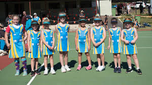 Image result for Civil Service (Ipswich) Netball Club