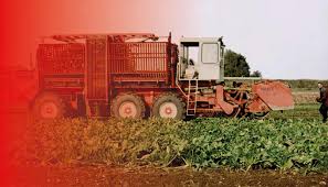 Image result for holmac tehron