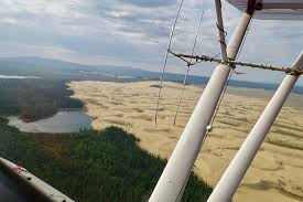 Attēlu rezultāti vaicājumam “Nardia geoscyphus”