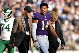 Image result for Hamilton Panthers Association Football Club