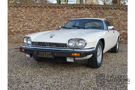 Image result for Tudor White 1981 Jaguar