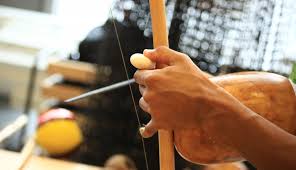 Image result for Group Senzala Capoeira Harlow