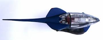 Image result for seaquest stinger