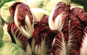 Image result for Zichorie