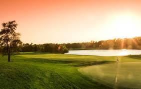 Image result for Flint Golf Club