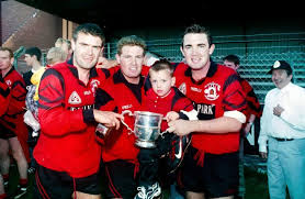 Image result for Rostrevor Hurling Club