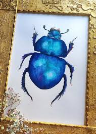 Attēlu rezultāti vaicājumam “Trypocopris vernalis”