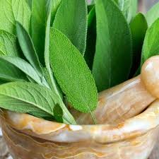 Image result for Salvie