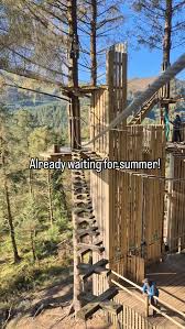 Image result for Go Ape! Whinlatter