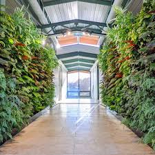 Image result for living wall