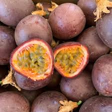 Attēlu rezultāti vaicājumam “Campanula patula fruit”