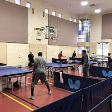 Image result for Generation 2 Table Tennis Club