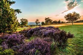 Image result for Stanedge Golf Club