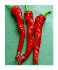 Afbeeldingsresultaat voor joe long cayenne hot pepper