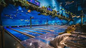 Image result for Bathgate Seafield Bowling Club